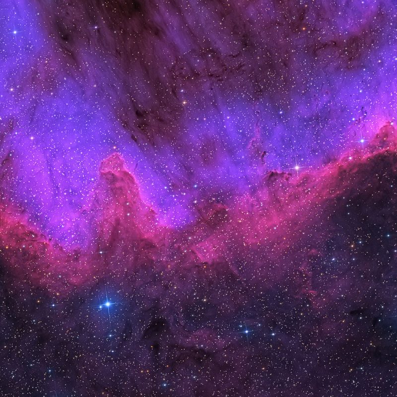 8K_MASTER // CYGNUS_WALL