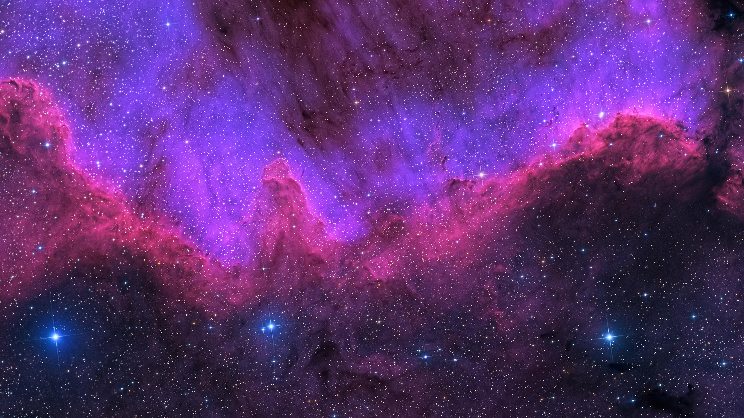 8K_MASTER // CYGNUS_WALL