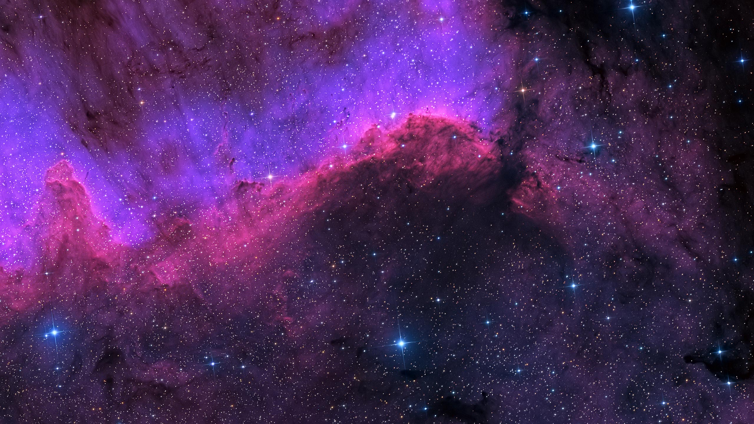 8K_MASTER // CYGNUS_WALL - Image 2