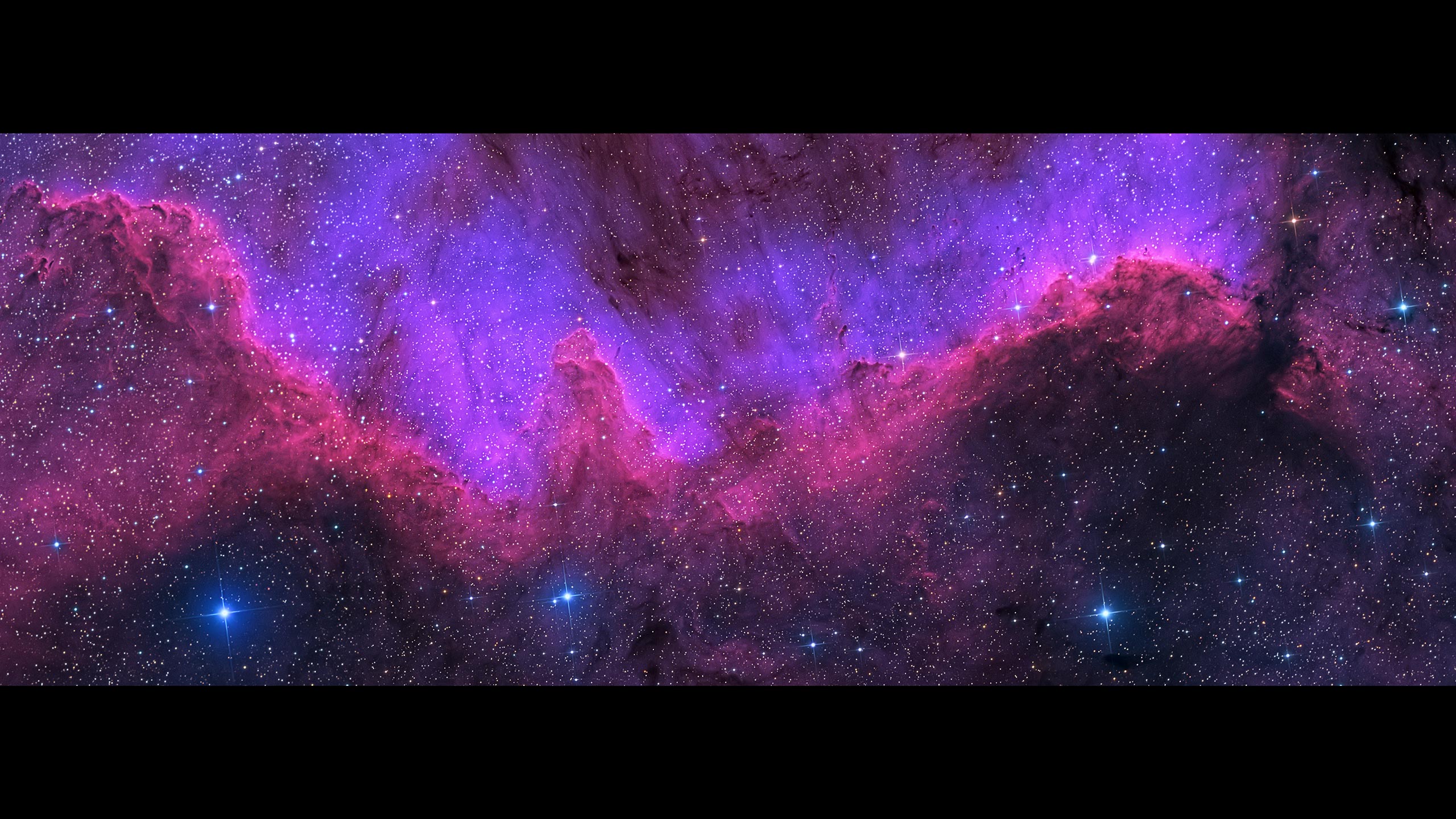 8K_MASTER // CYGNUS_WALL - Image 3